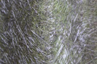 Impington fibreglass roof work